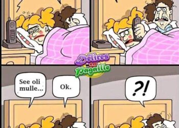 Kui küsivad, siis mind pole kodus!